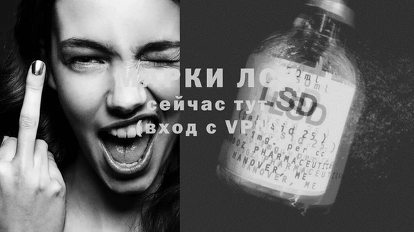 дживик Балахна